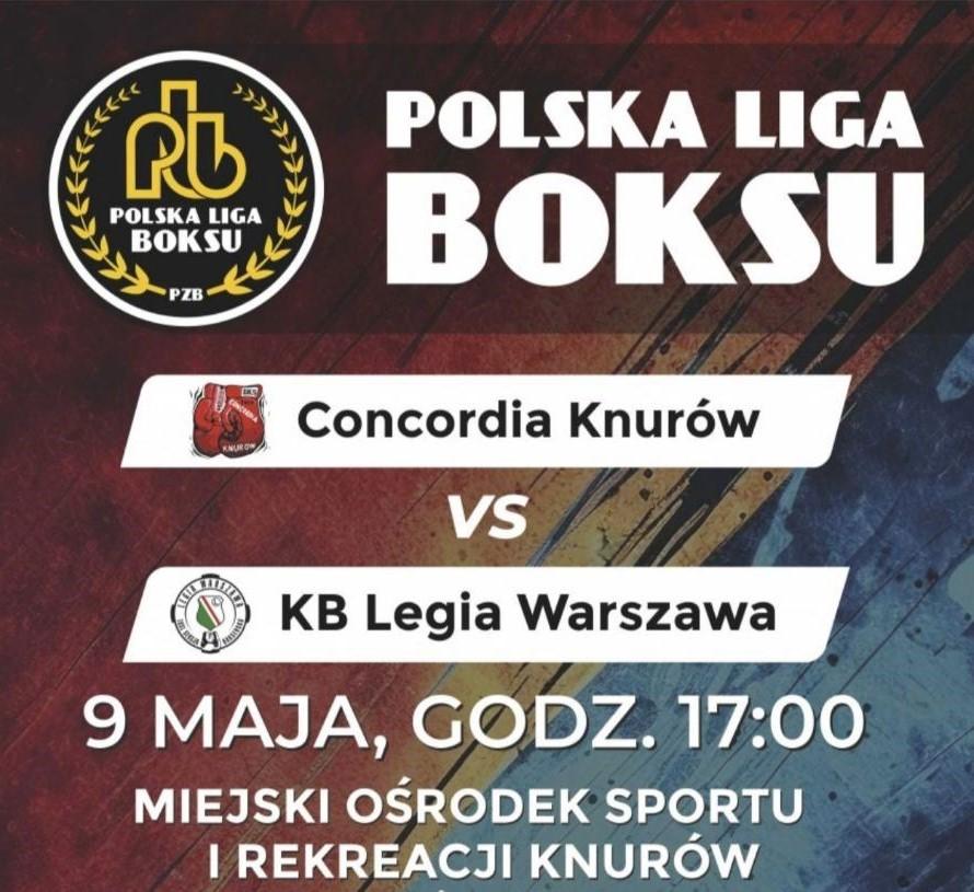 Polska Liga Boksu