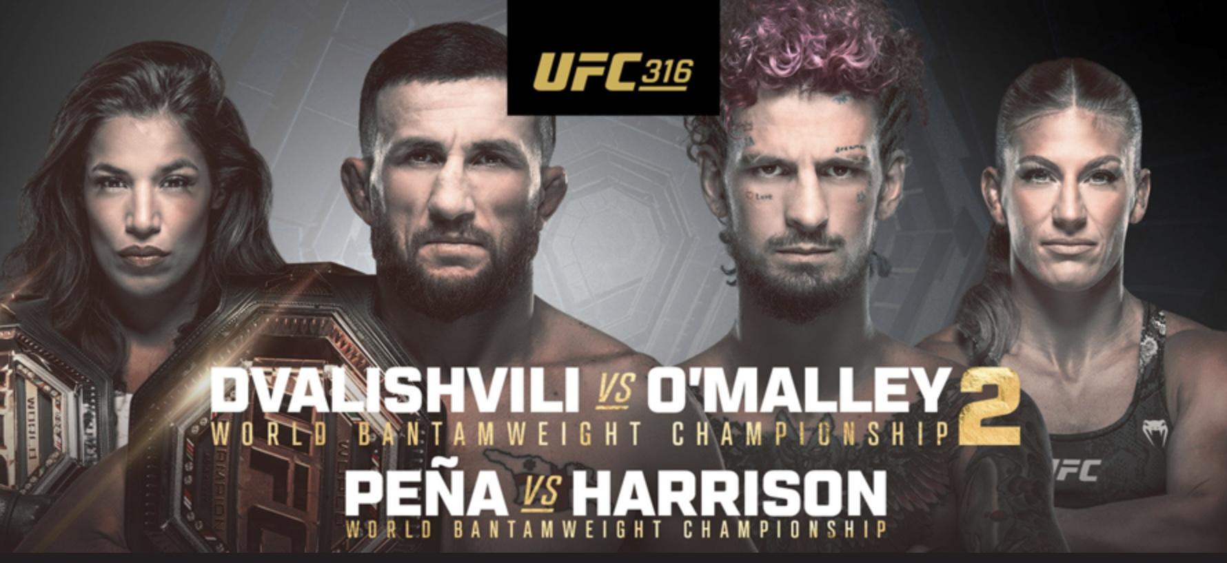 UFC 316 plakat / poster